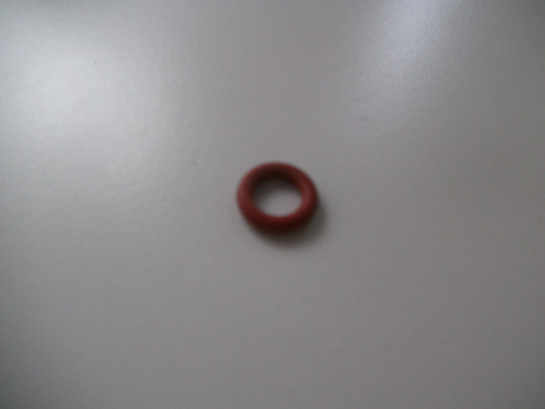 E000 / Dichtung / Sonde / J4928 (J4928) (39891)